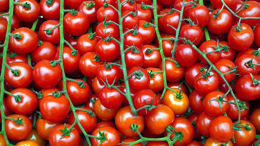 tomater, röd, mogen, körsbärstomater, skörda, grönsaker, mat, färsk, producera