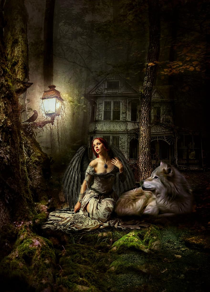 kvinna, ängel, fallen ängel, Varg, upplyst, vingar, skog, träd, hemsökt hus, magisk skog, mystisk skog