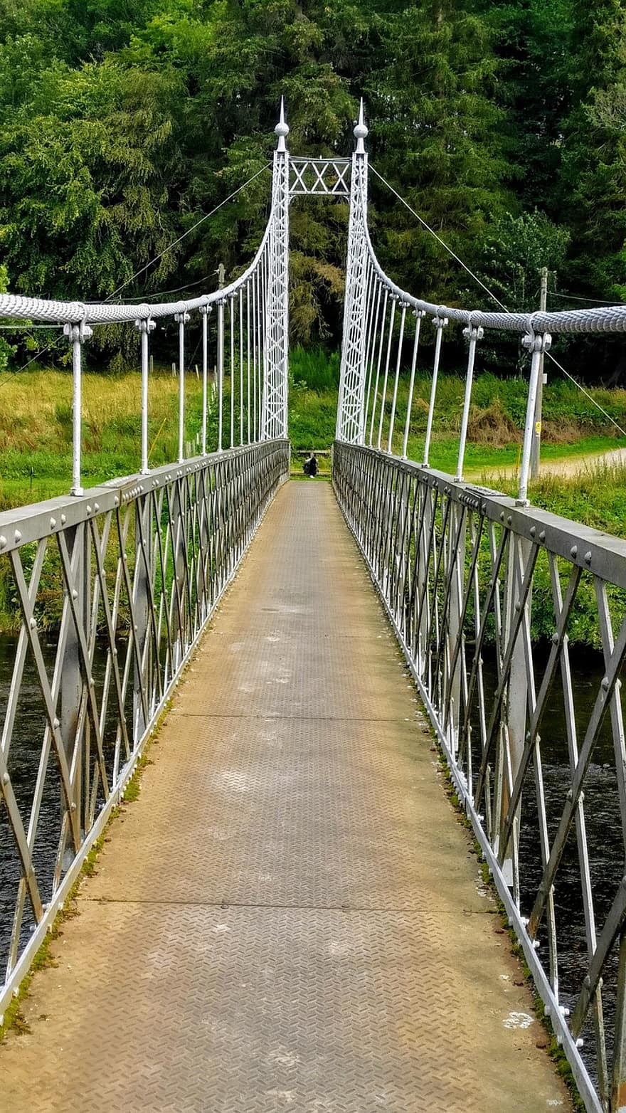 puente, puente colgante, arquitectura, camino, sendero, madera, agua, bosque, paisaje, puente peatonal, color verde