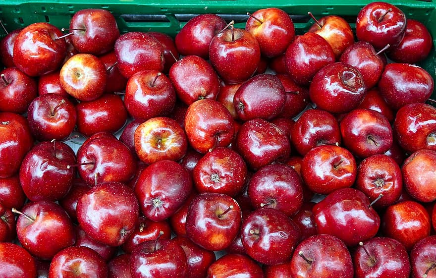 фрукти, яблука, урожай, свіжий, здоровий, вітаміни