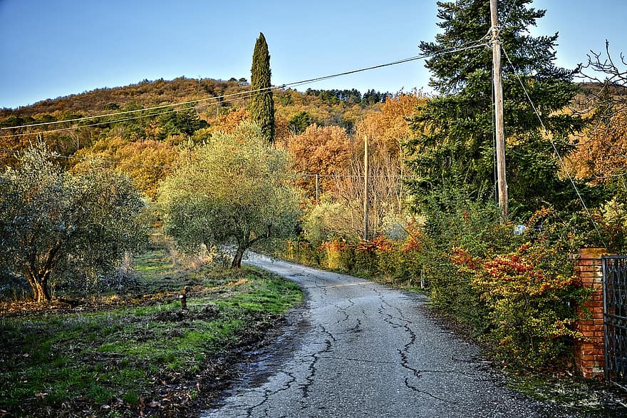 Nature, Autumn, Path, Street, Road, Fall, Season, Outdoors, Travel, tree, rural scene