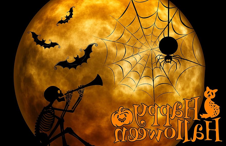 Halloween, scheletro, gatto, strano, surreale, atmosfera, raccapricciante, silhouette