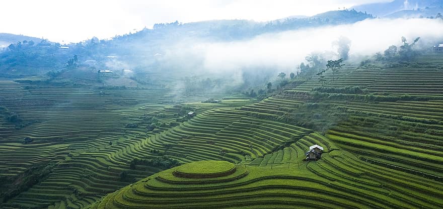 paysage, agriculture, rizières en terrasses, été, rizière, riziculture, Montagne, ciel, des champs, des nuages