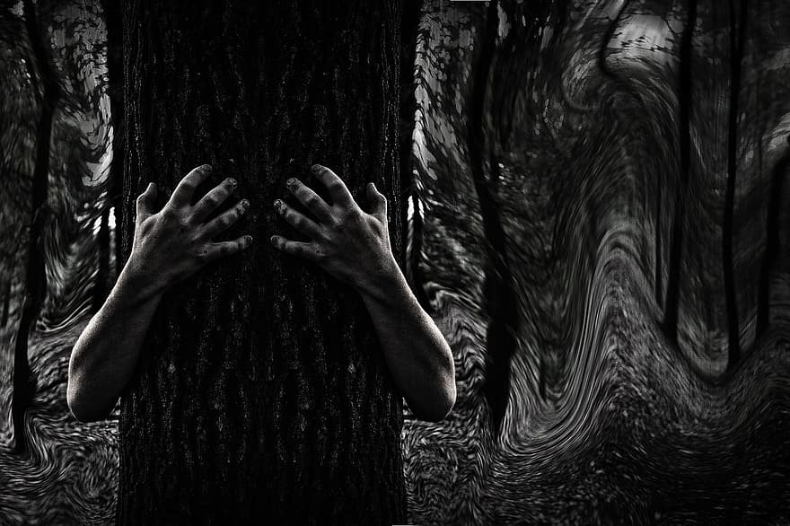 fosc, misteri, bosc, horror, somiador, a l'aire lliure, arbre, fantasia, ombra, por, bosc fosc