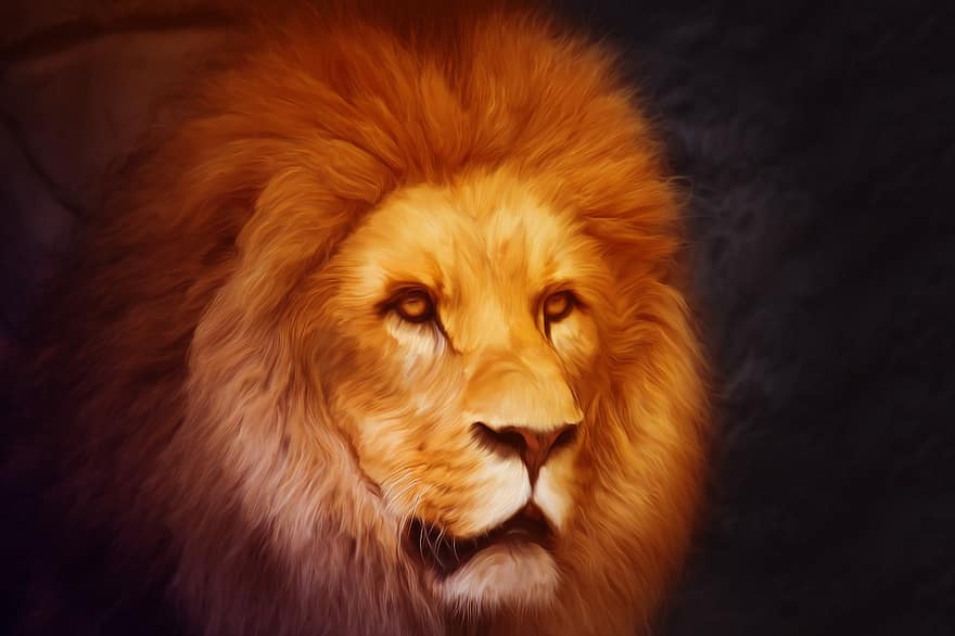 leijona, photoshop, muotokuva, eläinten maailma