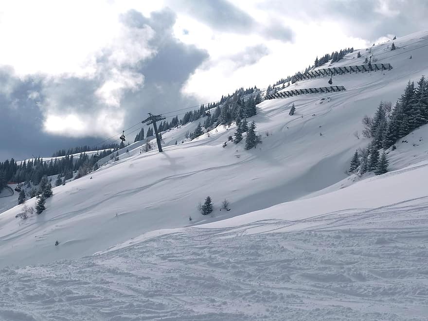cuesta abajo, nieve, invierno, pista, pista de esquí, área de esquí, montaña, paisaje, naturaleza, deporte, bosque