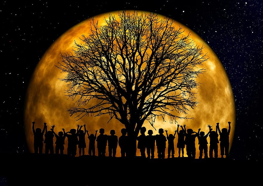 copii, minune, bucurie, noroc, entuziasm, copac, Kahl, lună, uman, grup, siluetă
