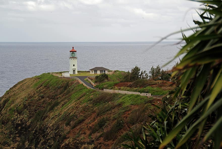 phare, falaise, côte, côtier, paysage, Kauai