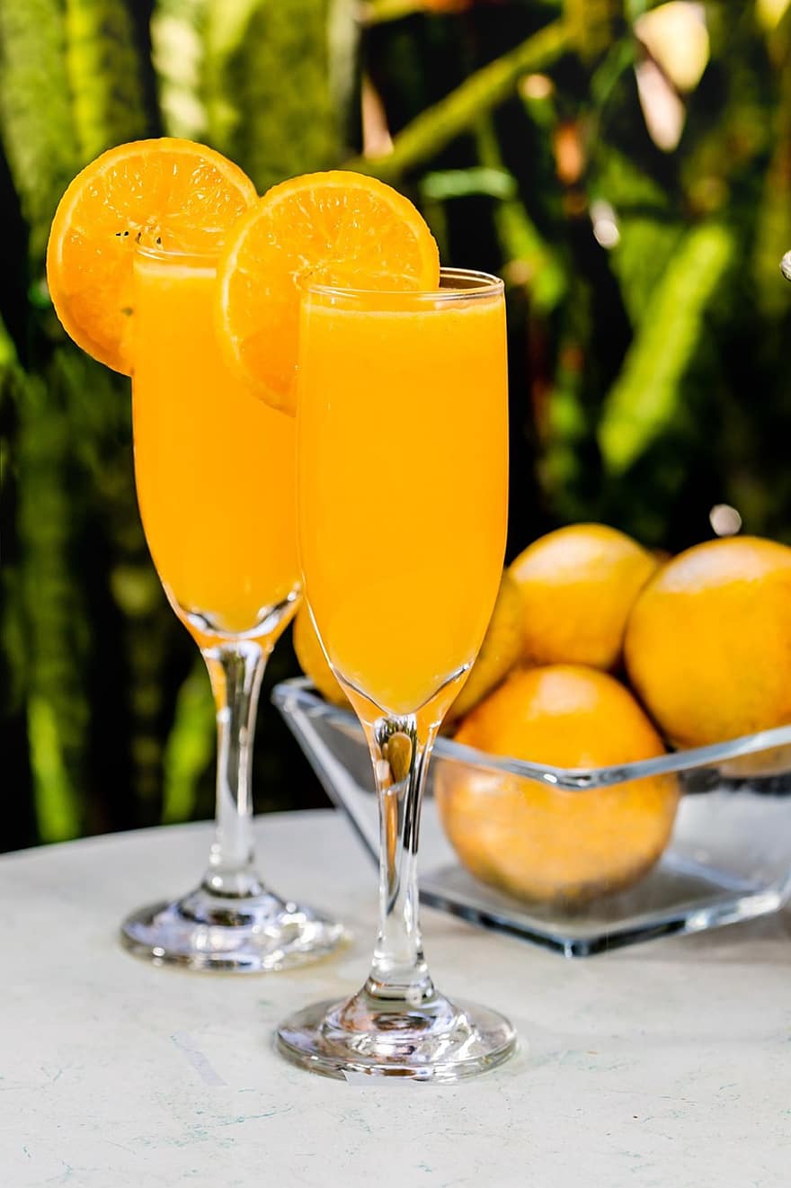 napít se, ovoce, brýle, oranžový, pomerančový džus, nápoj, občerstvení, šťáva, citrus, koktejl, alkohol