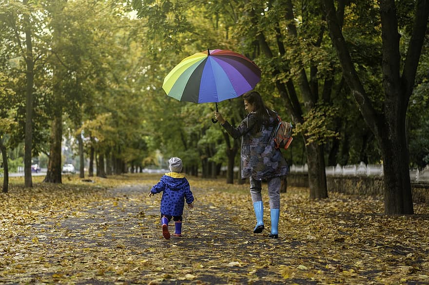 母と子、パーク、歩く、秋、自然、森林、葉