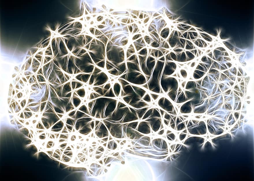 neurônios, células cerebrais, estrutura cerebral, cérebro, rede, acácia, fio, lenço de papel, fábrica de malha, integração, nó