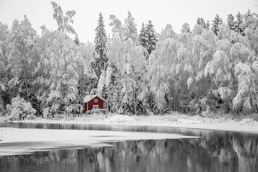 krajobraz, zimowy, śnieg, rzeka, ciekły, Chata, sauna, las, śnieg z deszczem, Finlandia, drzewo