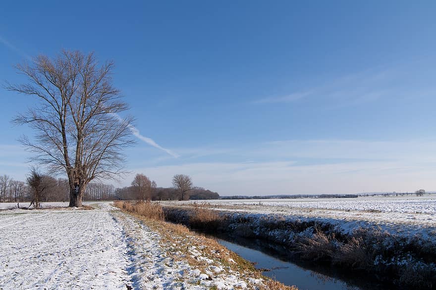 Field, Dig, Winter, Snow, Frost, Ice, Wintry, Landscape, Rural, Sky, Blue Sky