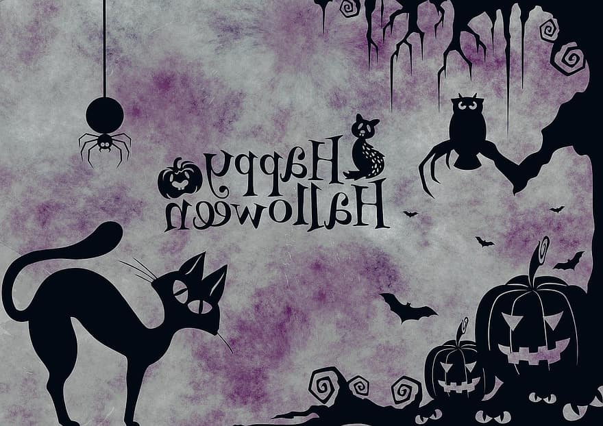 halloween, kot, dziwne, surrealistyczny, atmosfera, przerażający, dynia, pająk, sowa, sylwetka
