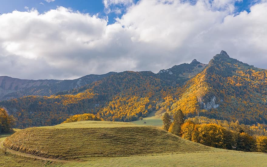 Natur, Herbst, Jahreszeit, fallen, draußen, Berge, Hügel, Bäume, Kanton Freiburg