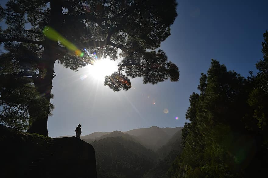 luz solar, árvore, montanhas, natureza, homens, montanha, Pico da montanha, aventura, uma pessoa, caminhada, retroiluminado