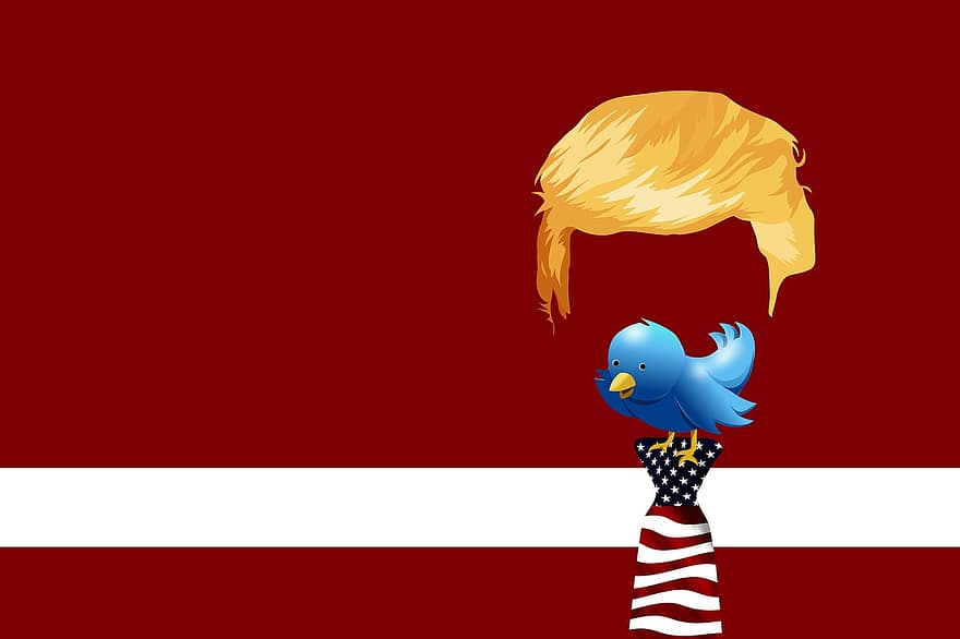 Trump, Twitter, Bird, Chirp, Tweet, Chirrup, Communication, Voice Tube, President, Usa, Flag