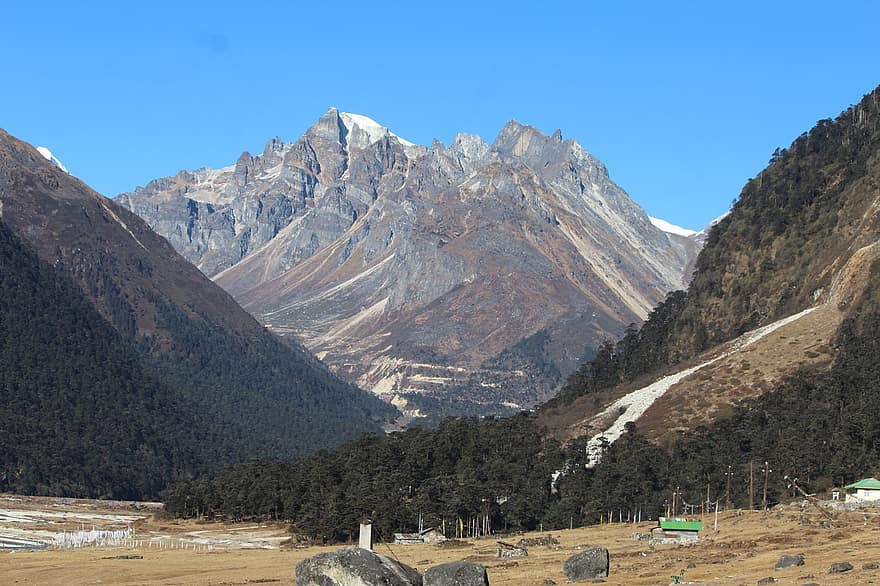 sikkim, Natura, Góra, rododendron, dolina Yumthang, Sikkim Północny