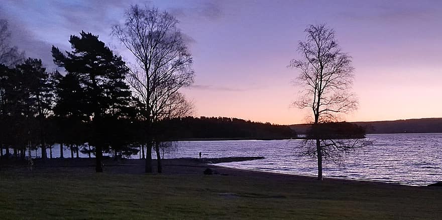 озеро, Швеция, заход солнца, Värmland, природа, смеркаться, дерево, пейзаж, воды, солнце, силуэт