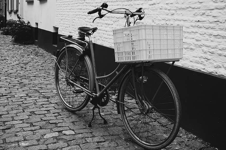 kerékpár, kosár, utca, monokróm, szabadban, szüret, régimódi, retro, bicikli, szállítás, fekete és fehér
