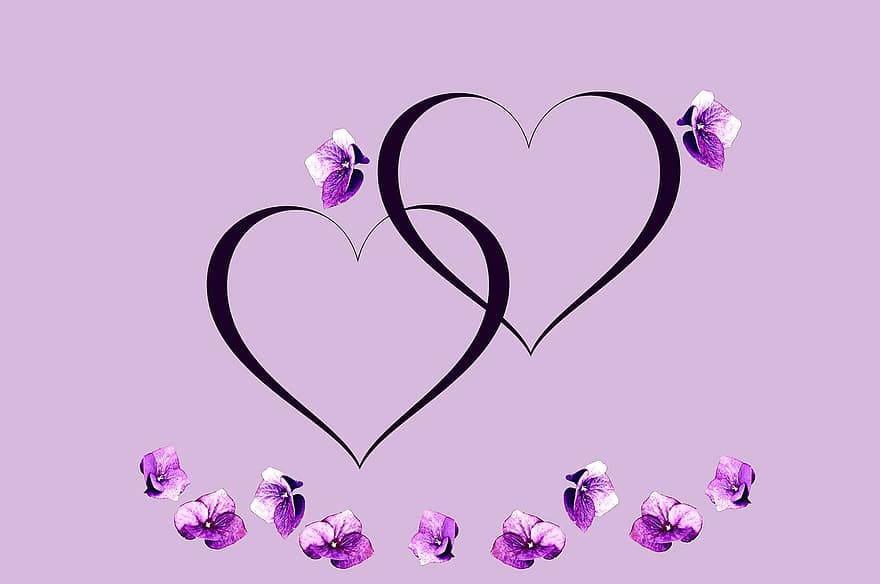 targeta de felicitació, dia de Sant Valentí, cors, romanç, fons, amor, forma del cor, flor, planta, full, decoració