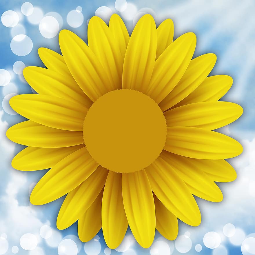 kasvi, kukka, kukat, pehmennys, taivas, keltainen kukka, auringonkukka