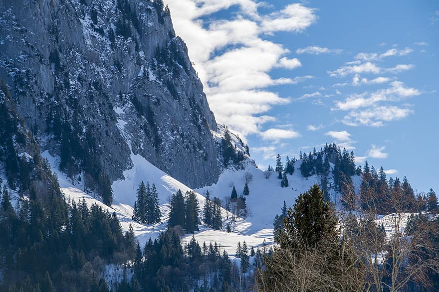 Šveicarija, Alpės, žiemą, sniegas, medžiai, pobūdį, kalnas, miškas, kraštovaizdį, medis, mėlyna