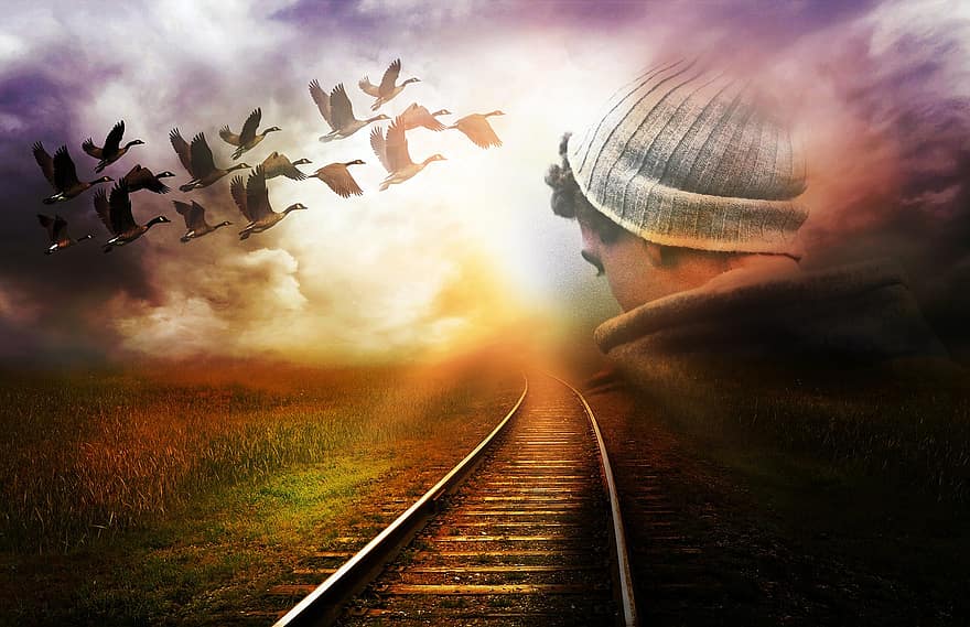 ferrocarril, aves, niño, campo, carril, vía férrea, vías de tren, naturaleza, paisaje, hombre, atrás