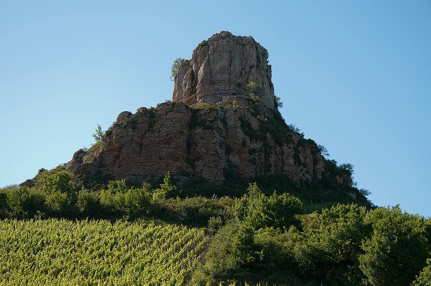 стръмна скала, скали, дървета, гора, растителност, природа, на открито, Roche, solutré, Франция