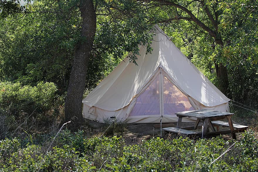 camping, tält, campingplats, picknick, natur, träd, skog, fritid, resa, sommar, äventyr