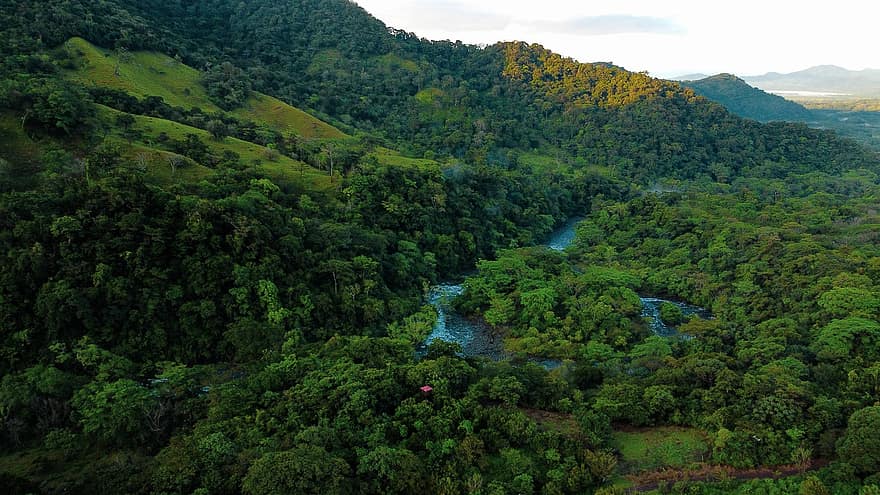 řeka, krajina, Příroda, džungle, les, držet, Chráněná přírodní oblast