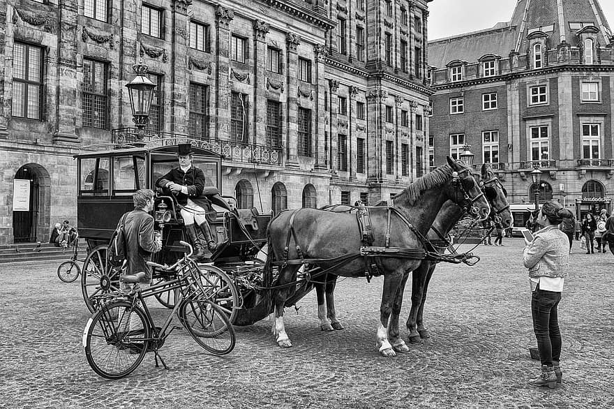 kuda, gerbong, sopir, amsterdam, eropa, tua, vintage, tempat terkenal, budaya, perjalanan, pariwisata