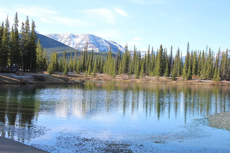 Lac, forêt, les montagnes, la nature, paysage, des arbres, eau, réflexion, scénique, Alberta, Montagne