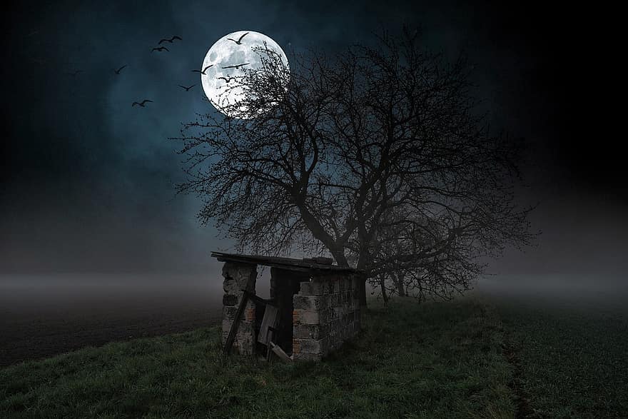 verlaten plaats, hut, maan, nacht, boom, veld-, mist, oud huis, volle maan, maanlicht, vogelstand