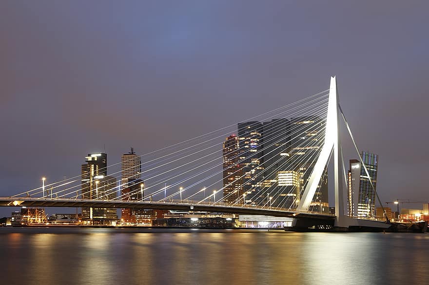 πόλη, γέφυρα, ταξίδι, ο ΤΟΥΡΙΣΜΟΣ, γέφυρα erasmus, Ρότερνταμ, νυχτερινή φωτογραφία, γραμμή ορίζοντα