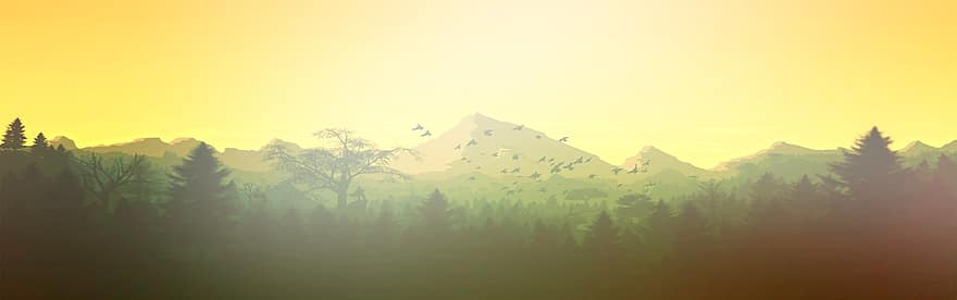 πρωί, ομιχλώδης, τοπίο, πανοραματικός, ήλιος, ομίχλη, δέντρο, δάσος, φως, εποχή, καλοκαίρι
