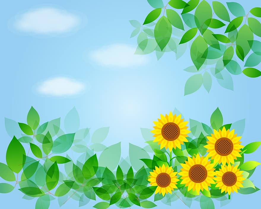 sfondo di girasole, girasole, cielo, le foglie, nuvole, giallo, estate, natura, fiorire, colore, colorato