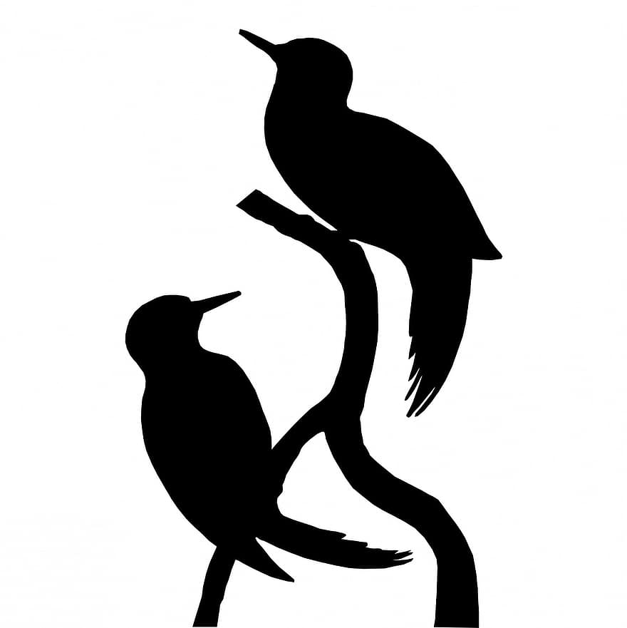 uccello, uccelli, picchio, animale, nero, silhouette, arte, bellissimo, appollaiati, albero