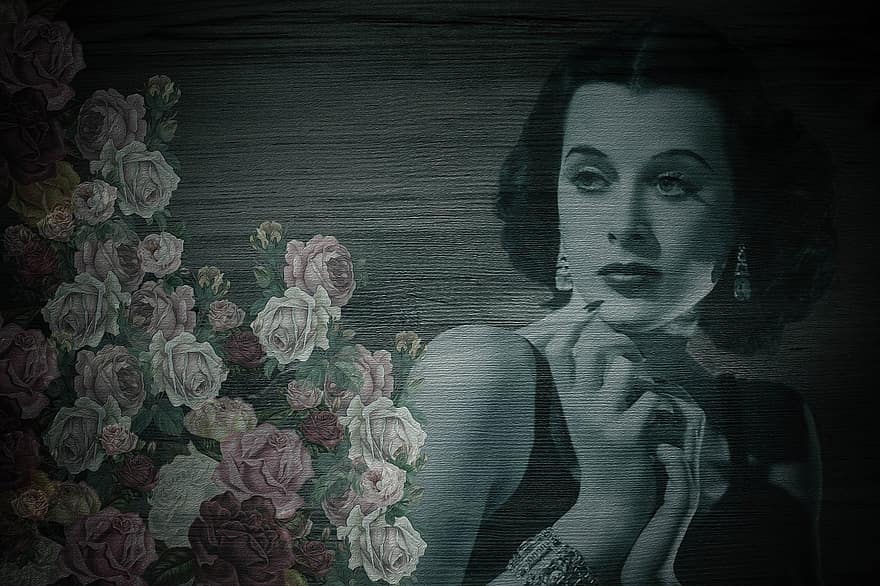 Hedy Lamarr, actrice, ancien, sur bois, beauté, des roses, nostalgique, romantique, diva, affiche, carte