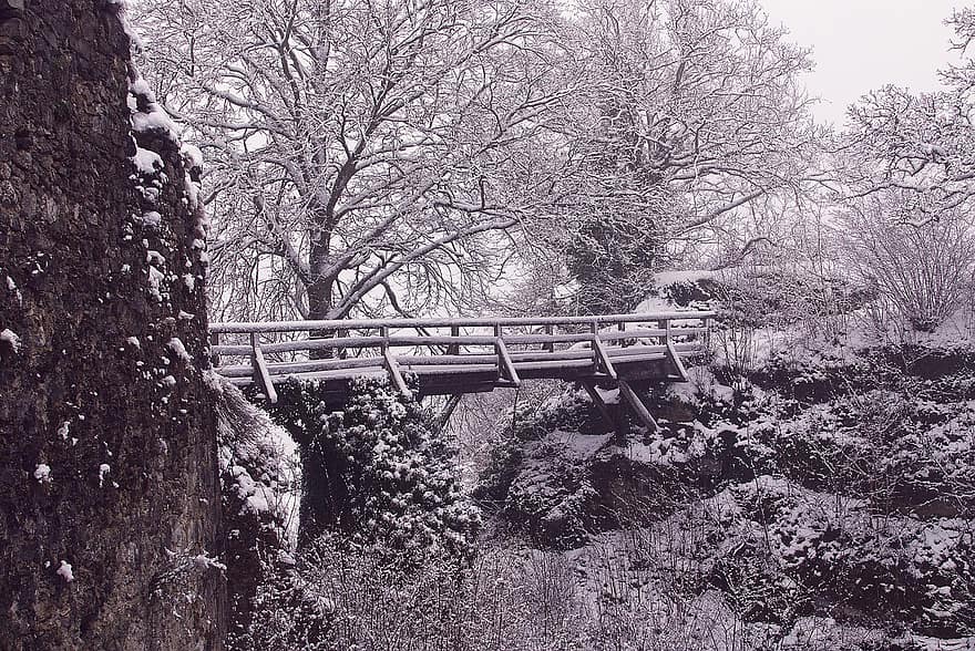 लकड़ी का पुल, पेड़, हिमपात, बर्बाद, कोहरा, सर्दी, ठंढ