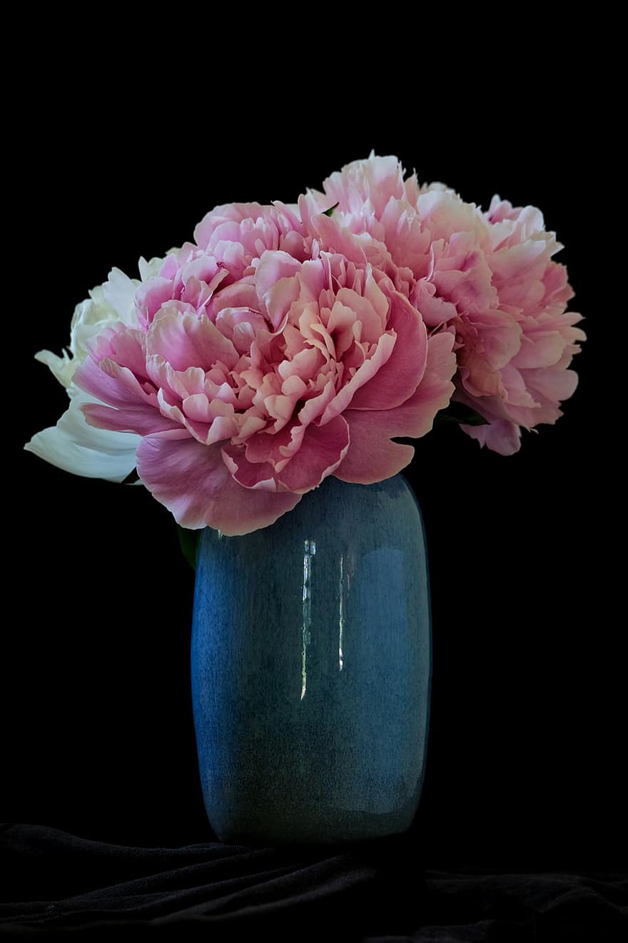 rosa, blomster, peoner, bukett, vase