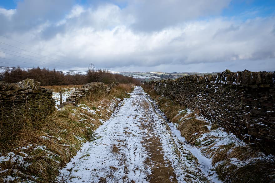 road, winter, snow, cold, countryside, nature, landscape, path, dirt, field, meadow