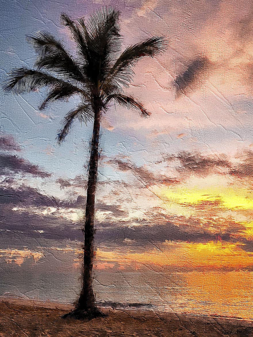 palma, albero, spiaggia, Palma, sagoma dell'albero, sabbia, oceano, acqua, nuvole, natura, mare