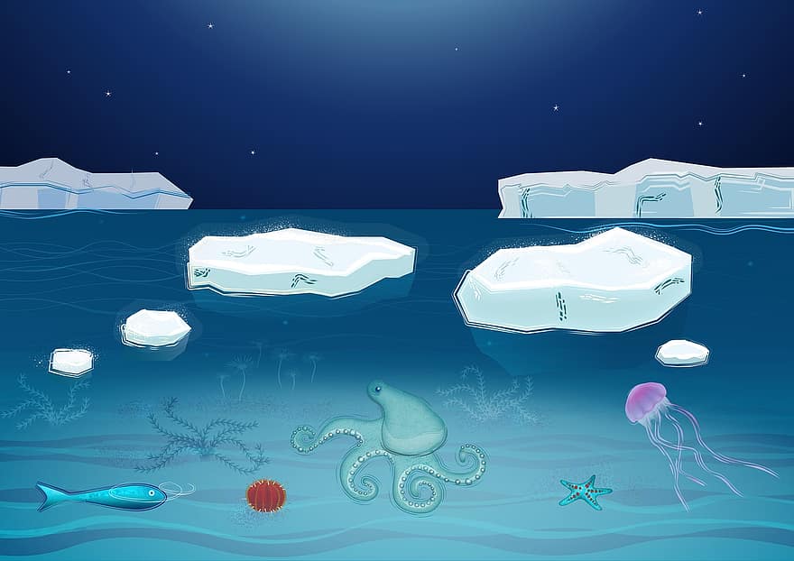 Antarctique, mer de glace, glaçons, climat, sous-marin, mer