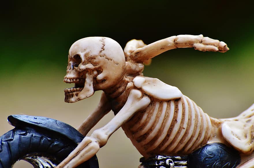 motorista, esquelet, horripilant, estrany, decoració, por, os, horror, crani i ossos creuats, crani, os de crani