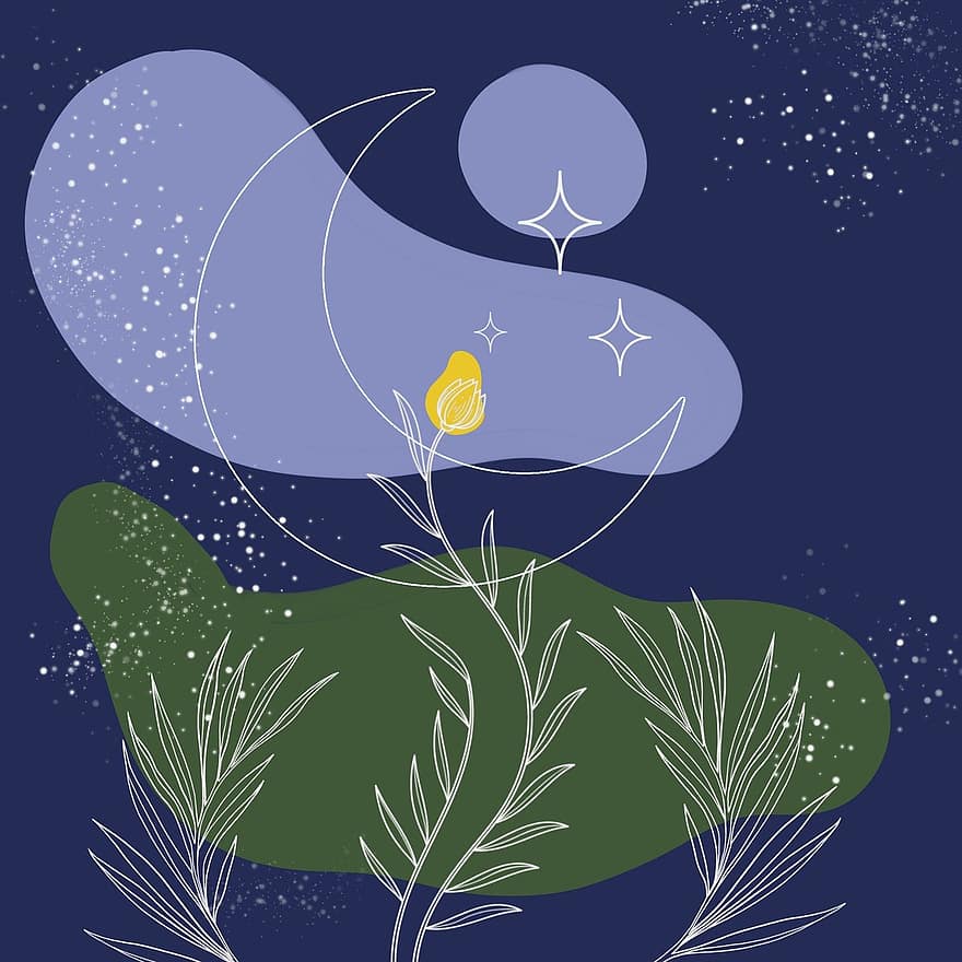 Plants, Moon, Background, Stars, Night, Starry, Crescent, Sky, Leaves, Grass, Nature