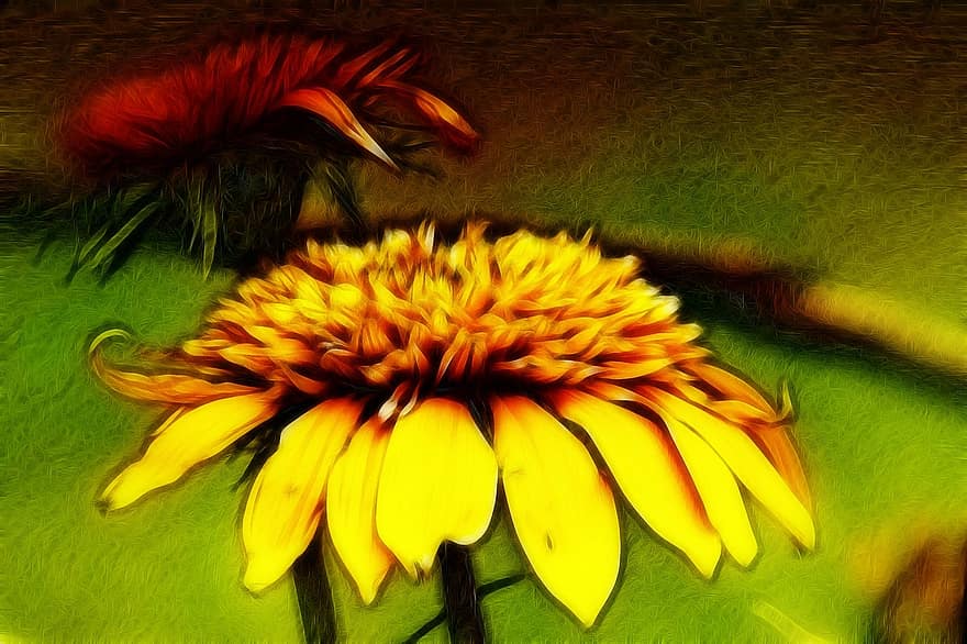 Flower, Fractal, Abstract, Yellow, Digital Art, Design, Floral, Creative, Artistic, Petal, Digital Manipulation