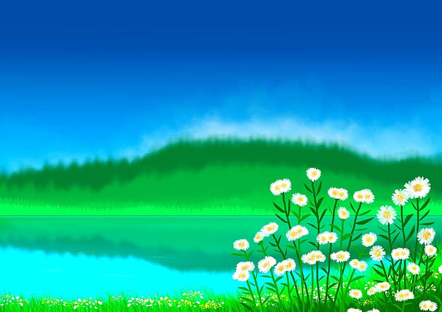 bloemen, natuur, achtergrond, witte bloemen, bloeien, planten, rivier-, meer, milieu, water, reflectie
