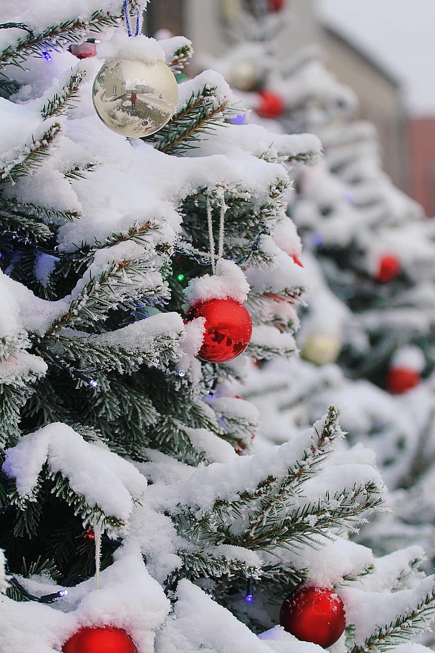 Noël, hiver, neige, épicéa, gel, décorations de Noël