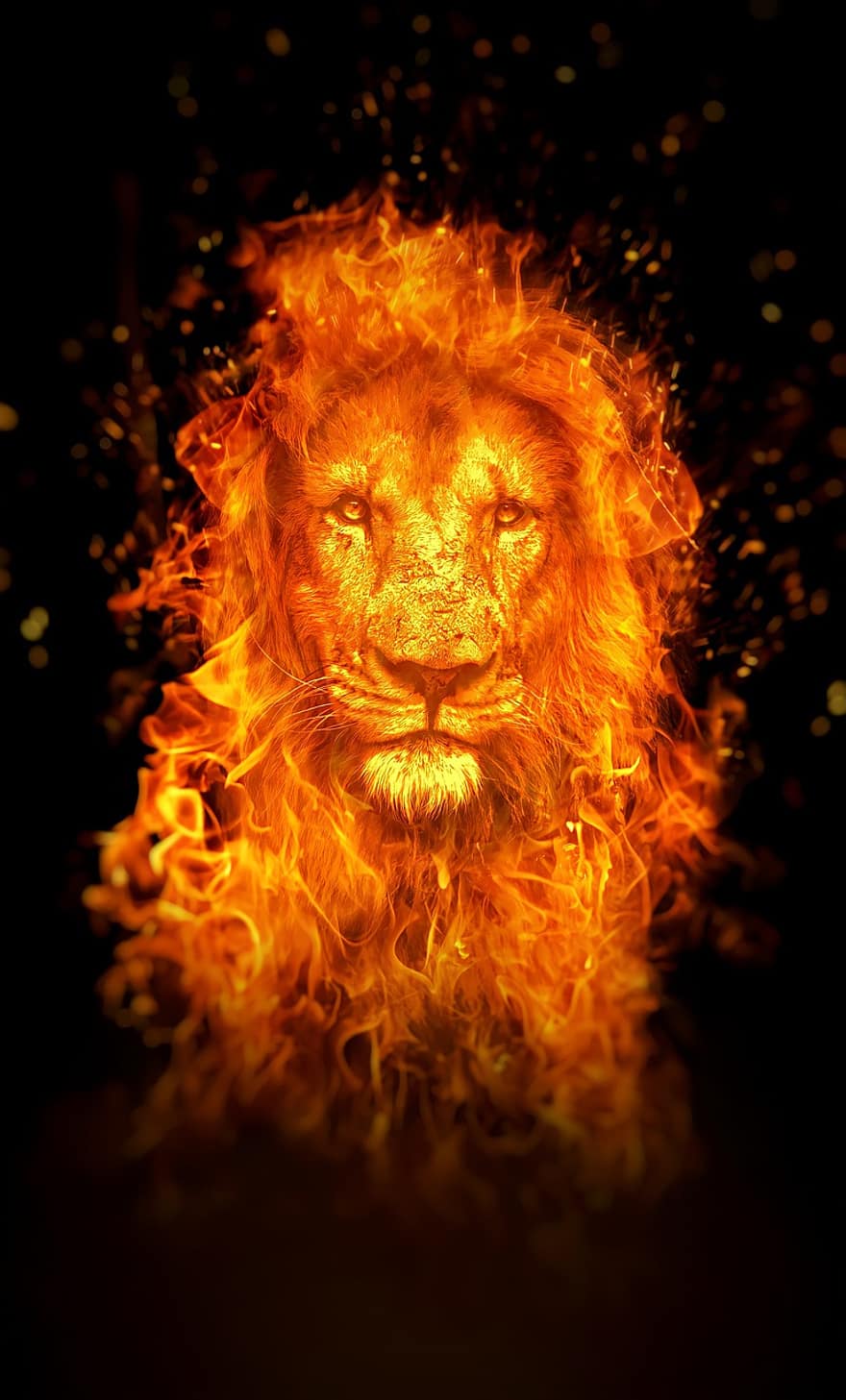 løve, Brann, bakgrunns, foto manipulasjon, Foto redigering, surrealistisk, digital kunst, flamme, Flamende løve, Flamende dyr